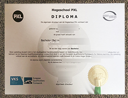 Hogeschool PXL Diploma