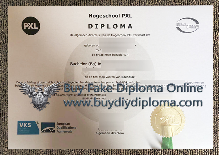 Hogeschool PXL Diploma