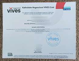 Katholieke Hogeschool Vives Zuid diploma