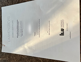 Linköpings universitet diploma certificate
