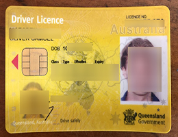 Queensland Driver Licence
