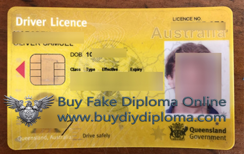 Queensland Driver Licence