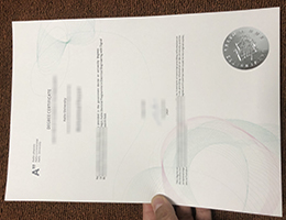 Aalto University Diploma Certificate