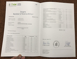 Technische Hochschule Mittelhessen transcript sample