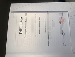 Copenhagen Business School diploma