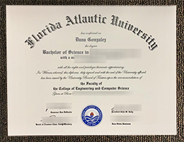 Florida Atlantic University Diploma certificate