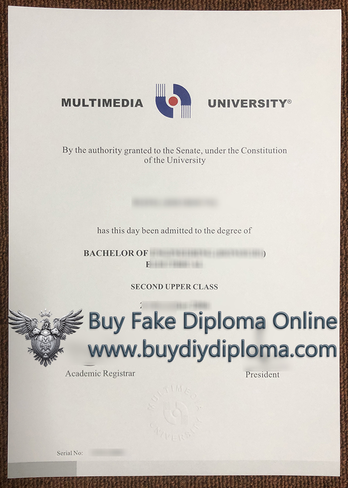Multimedia University Degree