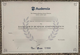 Audencia Business School degree certificate