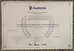 Audencia Business School degree certificate