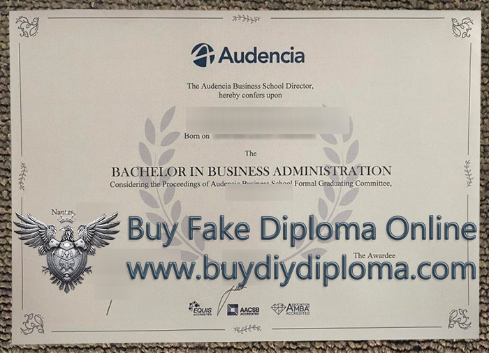 Audencia Business School degree