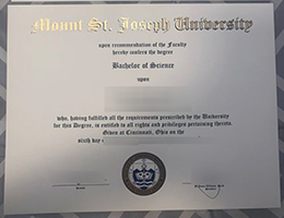 Mount St. Joseph University BSc degree