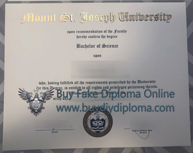Mount St. Joseph University degree