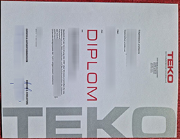 TEKO Schweizerische Fachschule diploma certificate