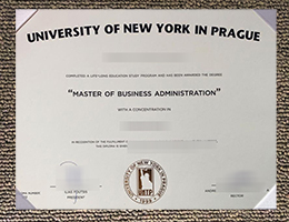 University Of New York In Prague degree certifiate