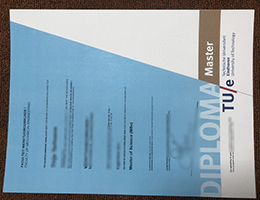 Technische Universiteit Eindhoven (TUe) diploma