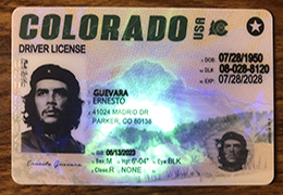 Colorado driver’s license sample