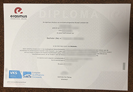 Erasmushogeschool Brussel Diploma