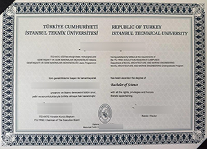 İstanbul Teknik Üniversitesi degree sample