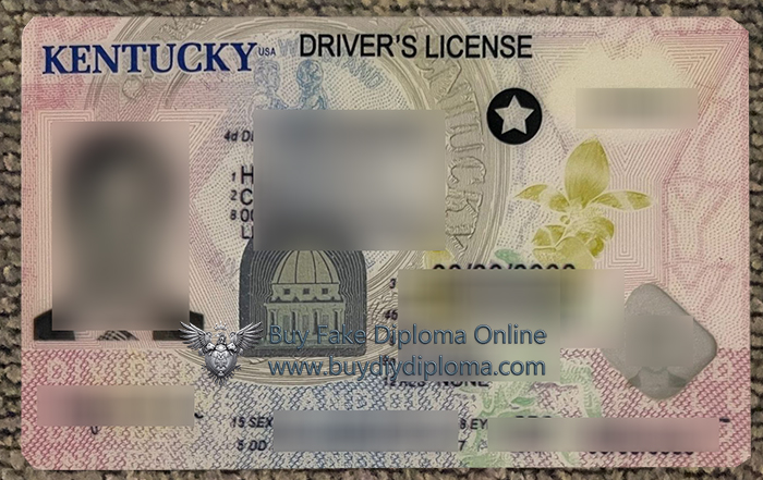 Kentucky ID
