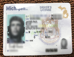 Michigan driver’s license