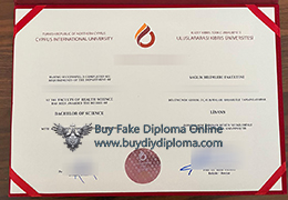 Uluslararası Kıbrıs Üniversitesi diploma sample