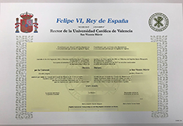 Universidad Católica de Valencia San Vicente Mártir degree