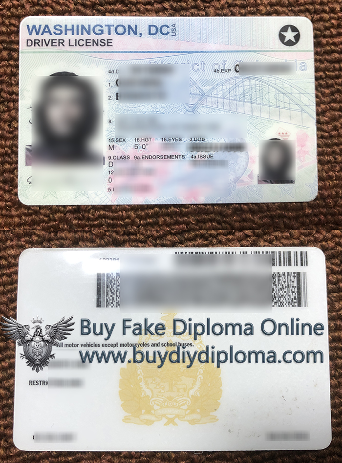 Washington driver’s license ID