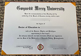 Gwynedd Mercy University degree certificate