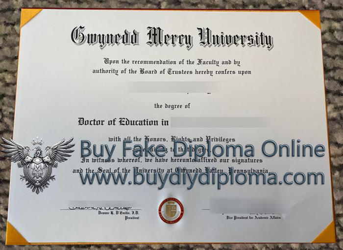 Gwynedd Mercy University degree