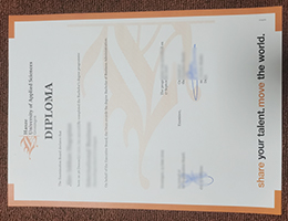 Hanzehogeschool Groningen diploma