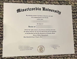 Misericordia University degree