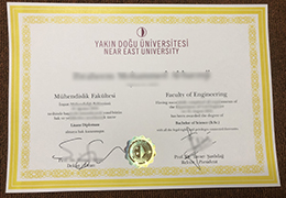 Near East University Diploma sample