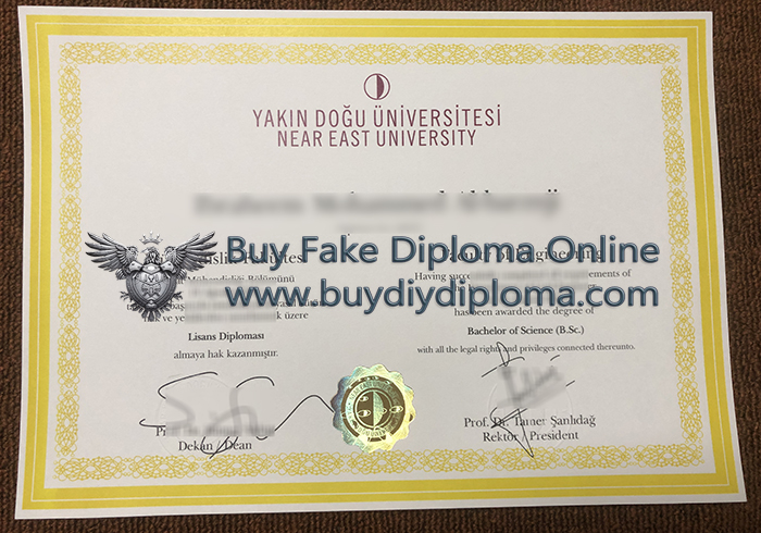 Near East University Diploma