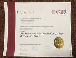Université de Genève bachelor's degree certificate