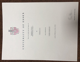 University of Essex Bachelor of Laws degree sample