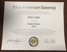 WGU BSc degree