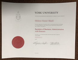 York University BBA DegreeYork University BBA Degree