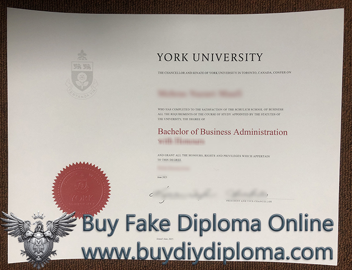 York University BBA Degree York University BBA Degree