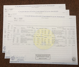 Cal State LA Transcript