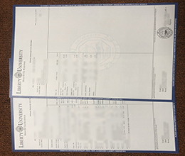 Liberty University transcript sample