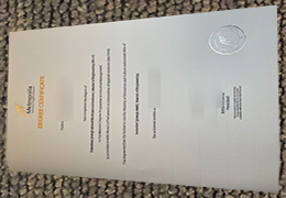 Metropolia Ammattikorkeakoulu Degree Certificate sample
