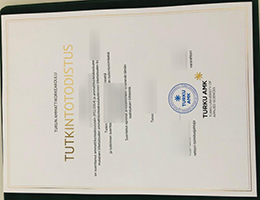 Turun ammattikorkeakoulu degree sample