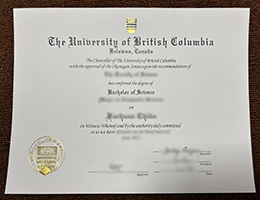 UBC BSc degree