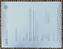 University of Liechtenstein degree sample