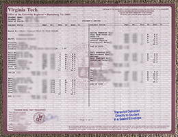 Virginia Tech transcript