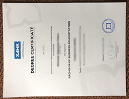 Xamk degree