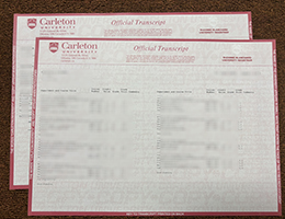 Carleton University transcript sampleCarleton University transcript sample