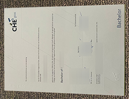 Christelijke Hogeschool Ede degree sample