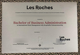 Les Roches degree certificate