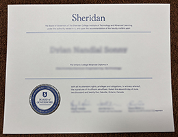 Sheridan College Diploma